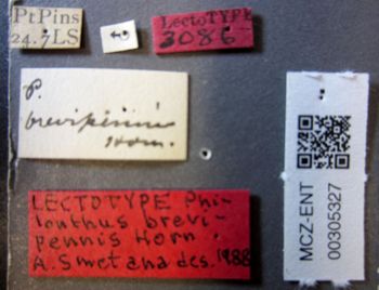 Media type: image;   Entomology 305327 Aspect: labels